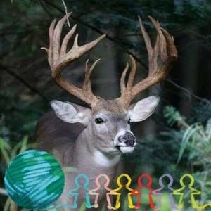 Meet your Posher, Tim